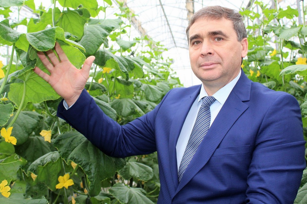 Министр  сельского  хозяйства  –  об  аграрном  секторе  Крыма