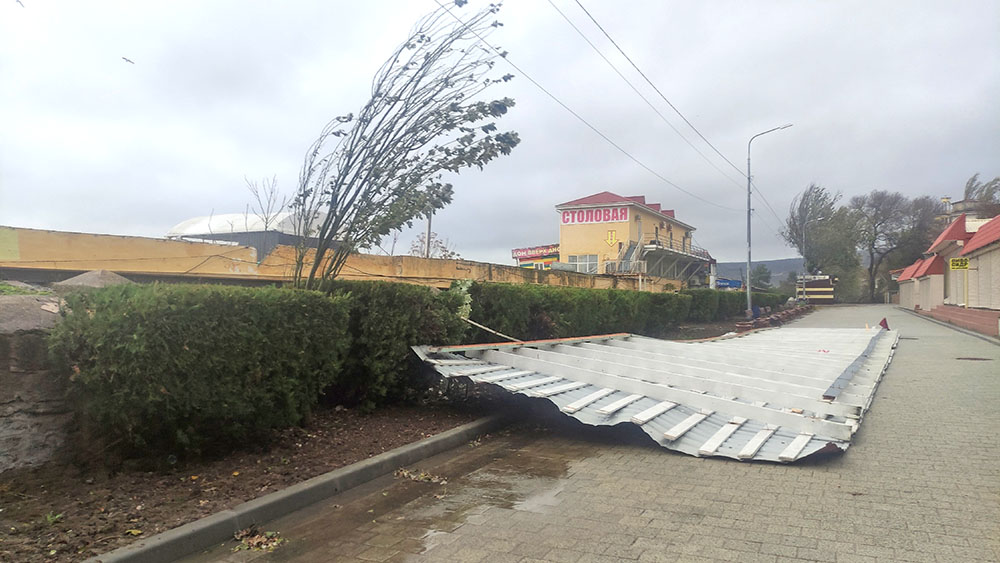 Поваленные тополя и сорванные крыши – в Феодосии бушует стихия