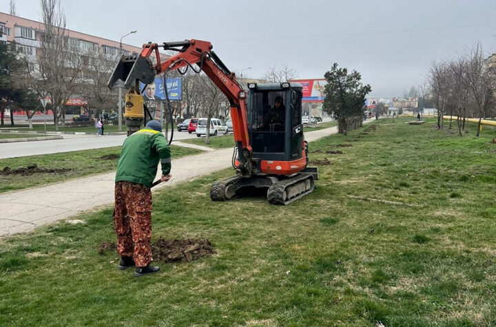 Городской округ отпразднует Крымскую весну высадкой деревьев